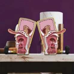 Mighty Jaxx Xxposed Spongebob Squarepants Figure 12 Mighty Jaxx Xxposed Spongebob Squarepants Figure -Television Action Figures Shop 14244358 1575033337600723