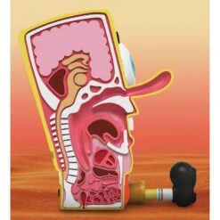 Mighty Jaxx Xxposed Spongebob Squarepants Figure 13 Mighty Jaxx Xxposed Spongebob Squarepants Figure -Television Action Figures Shop 14244358 2755033337640686